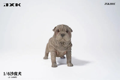 1/6 Shar Pei Cㅤ – JXK Studio – ActionFigureBrasil — acessórios