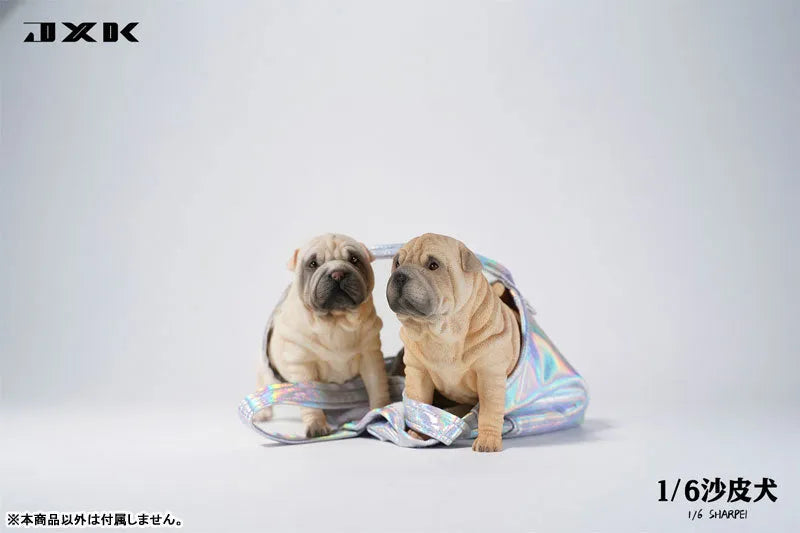 1/6 Shar Pei Dㅤ – JXK Studio – ActionFigureBrasil