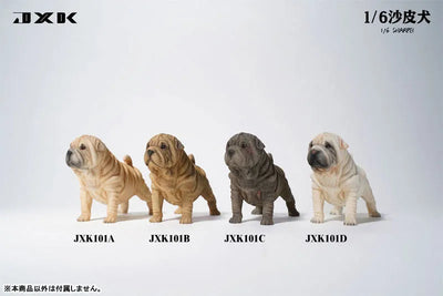 1/6 Shar Pei Dㅤ – JXK Studio – ActionFigureBrasil — embalagem
