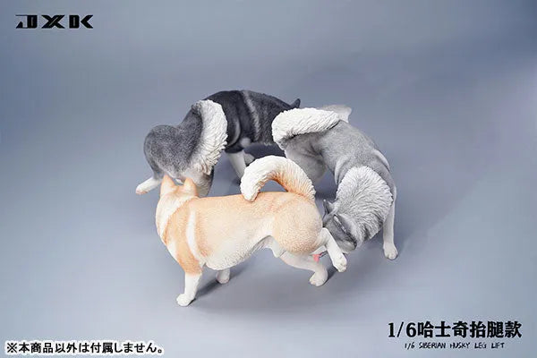 1/6 Siberian Husky Lifting Leg Aㅤ – JXK Studio – ActionFigureBrasil