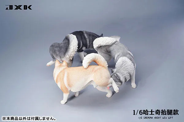 1/6 Siberian Husky Lifting Leg Cㅤ – JXK Studio – ActionFigureBrasil