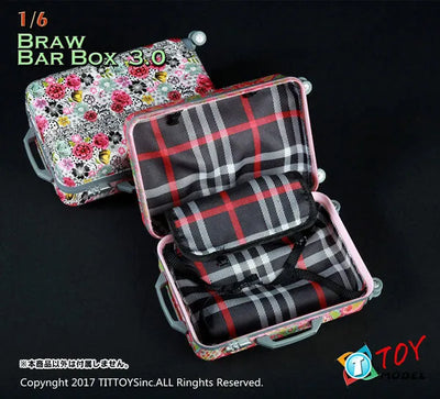 1/6 Suitcase 3.0 Flower Designㅤ – TITトイズ – ActionFigure Brasil