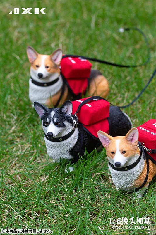 1/6 Welsh Corgi Pembroke Aㅤ – JXK Studio – ActionFigureBrasil