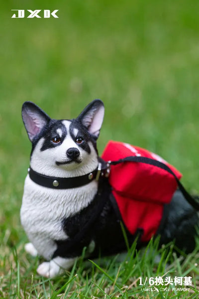 1/6 Welsh Corgi Pembroke Aㅤ – JXK Studio – ActionFigureBrasil — acessórios