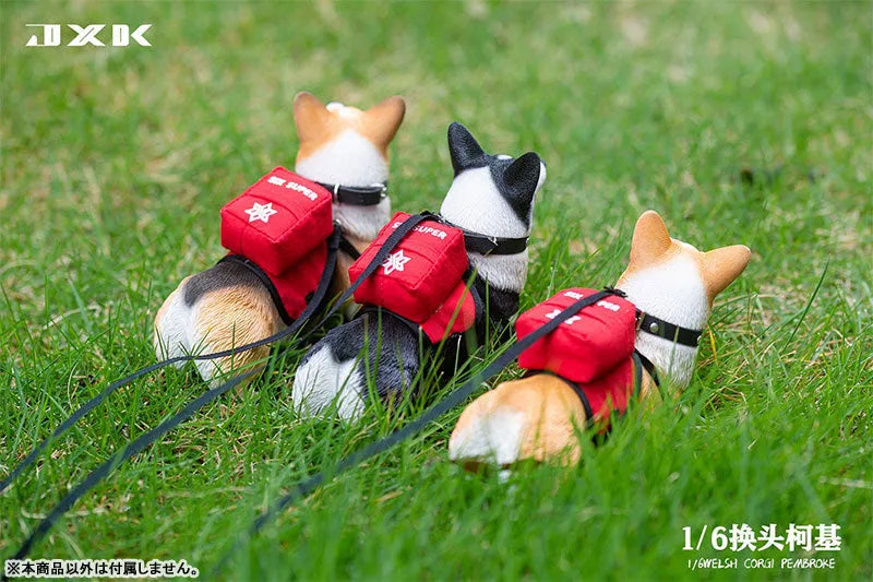 1/6 Welsh Corgi Pembroke Bㅤ – JXK Studio – ActionFigureBrasil