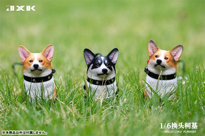 1/6 Welsh Corgi Pembroke Bㅤ – JXK Studio – ActionFigureBrasil — detalhe do produto