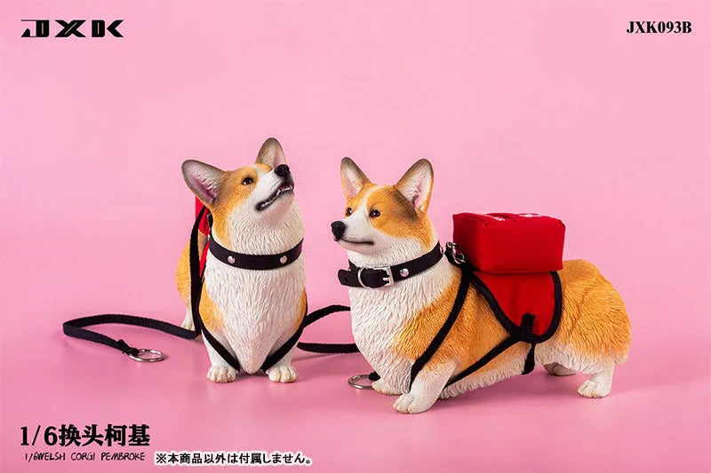 1/6 Welsh Corgi Pembroke Bㅤ – JXK Studio – ActionFigureBrasil