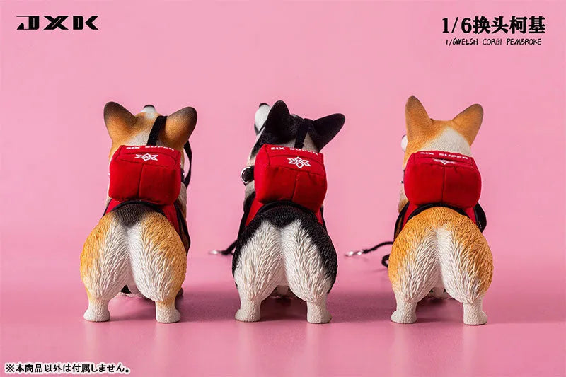 1/6 Welsh Corgi Pembroke Cㅤ – JXK Studio – ActionFigureBrasil
