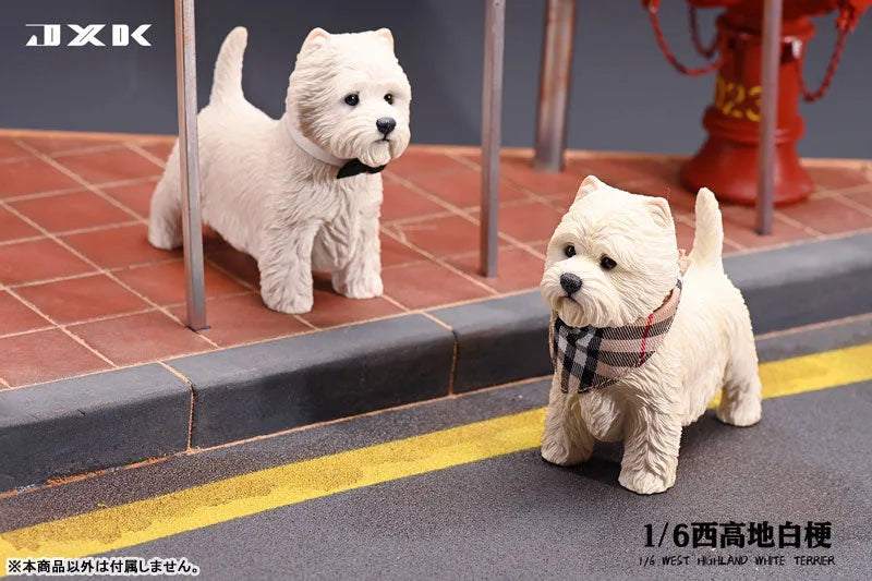 1/6 West Highland White Terrier Bㅤ – JXK Studio – ActionFigureBrasil