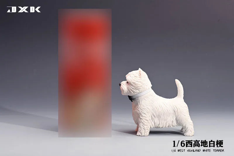 1/6 West Highland White Terrier Bㅤ – JXK Studio – ActionFigureBrasil