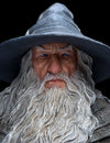 GANDALF™ THE GREY PILGRIM