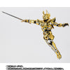 Garo - Ougon Kishi Garo - S.H.Figuarts - S.H.Figuarts Shinkocchou Seihou - Saejima Raiga (Bandai Spirits)ㅤ