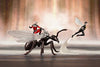 Avengers - Ant-Man - Wasp - ARTFX+ - 1/10 (Kotobukiya)ㅤ