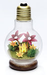 Moomin - Nyoro Nyoro - Moomin Light Bulb Terrarium - 3 (Re-Ment)ㅤ - ActionFigure Brasil