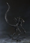 Alien Vs Predator - Alien Warrior - S.H.MonsterArts (Bandai)ㅤ