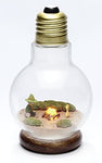 Moomin - Snufkin - Teety-Woo - Moomin Light Bulb Terrarium - 4 (Re-Ment)ㅤ - ActionFigure Brasil