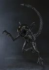 Alien Vs Predator - Alien Warrior - S.H.MonsterArts (Bandai)ㅤ