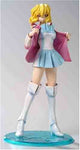 Kidou Senshi Gundam SEED Destiny - Stellar Loussier - Excellent Model - 1/8 - RAH DX 3ㅤ