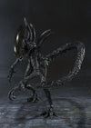 Alien Vs Predator - Alien Warrior - S.H.MonsterArts (Bandai)ㅤ