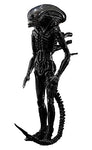 Alien - S.H.MonsterArts (Bandai)ㅤ