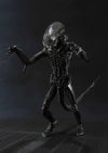 Alien - S.H.MonsterArts (Bandai)ㅤ