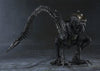 Alien Vs Predator - Alien Warrior - S.H.MonsterArts (Bandai)ㅤ