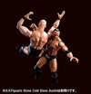 WWE - The Rock - S.H.Figuarts (Bandai)ㅤ