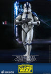 501St Battalion Clone Trooper (Collector Edition) (Tms022)