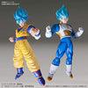 Dragon Ball Super - Vegeta SSJ God SS - Figure-rise Standard - Special Color (Bandai)ㅤ