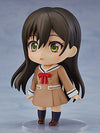 BanG Dream! - Hanazono Tae - Nendoroid #773ㅤ