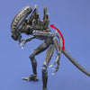 Aliens - Alien Warrior - Revoltech - Revoltech SFX #016 (Kaiyodo)ㅤ