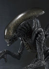 Alien Vs Predator - Alien Warrior - S.H.MonsterArts (Bandai)ㅤ