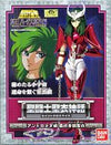 Saint Cloth Myth - Andromeda Shun Final Bronze Clothㅤ