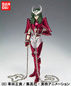 Saint Cloth Myth - Andromeda Shun Final Bronze Clothㅤ