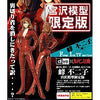 Dive x Lupin the 3rd Fujiko Mine 1st TV Series ver. Miyazawa Models Limited Editionㅤ