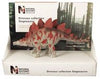 Natural History Museum 1/40 Stegosaurus (17cm)ㅤ