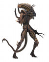 Alien - 7 Inch Action Figure Series 13 Kenner: 3Type Set(Provisional Pre-order)ㅤ