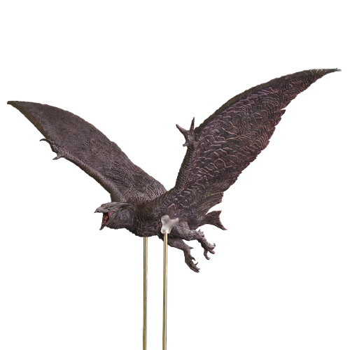 Godzilla: King of the Monsters - Rodan - Toho Daikaiju Series (Plex)ㅤ