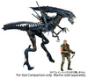 Alien 7 Inch Action Figure Series Ultra Deluxe - Alien Queenㅤ