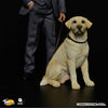 1/6 Scale Labrador Retriever (TC-M9004B)ㅤ