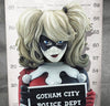 DC Comics - Mini Bust "Mugshot" #01 Harley Quinnㅤ