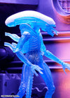 Alien - 7 Inch Action Figure Series 11: 3Type Setㅤ