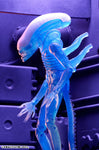 Alien - 7 Inch Action Figure Series 11: 3Type Setㅤ