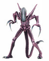 Alien VS Predator Arcade / 7 Inch Action Figure Alien Side: 3Type Setㅤ