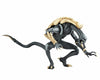 Alien VS Predator Arcade / 7 Inch Action Figure Alien Side: 3Type Setㅤ