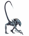 Alien VS Predator Arcade / 7 Inch Action Figure Alien Side: 3Type Setㅤ