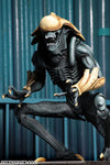 Alien VS Predator Arcade / 7 Inch Action Figure Alien Side: 3Type Setㅤ