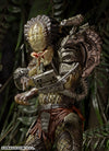 Predator / Jungle Hunter Predator Ultimate 7 Inch Action Figureㅤ