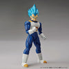 Figure-rise Standard Super Saiyan God Super Saiyan Vegeta (Renewal Ver.) Plastic Model "Dragon Ball Super"ㅤ