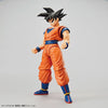 Figure-rise Standard Son Goku (Renewal Ver.) Plastic Modelㅤ